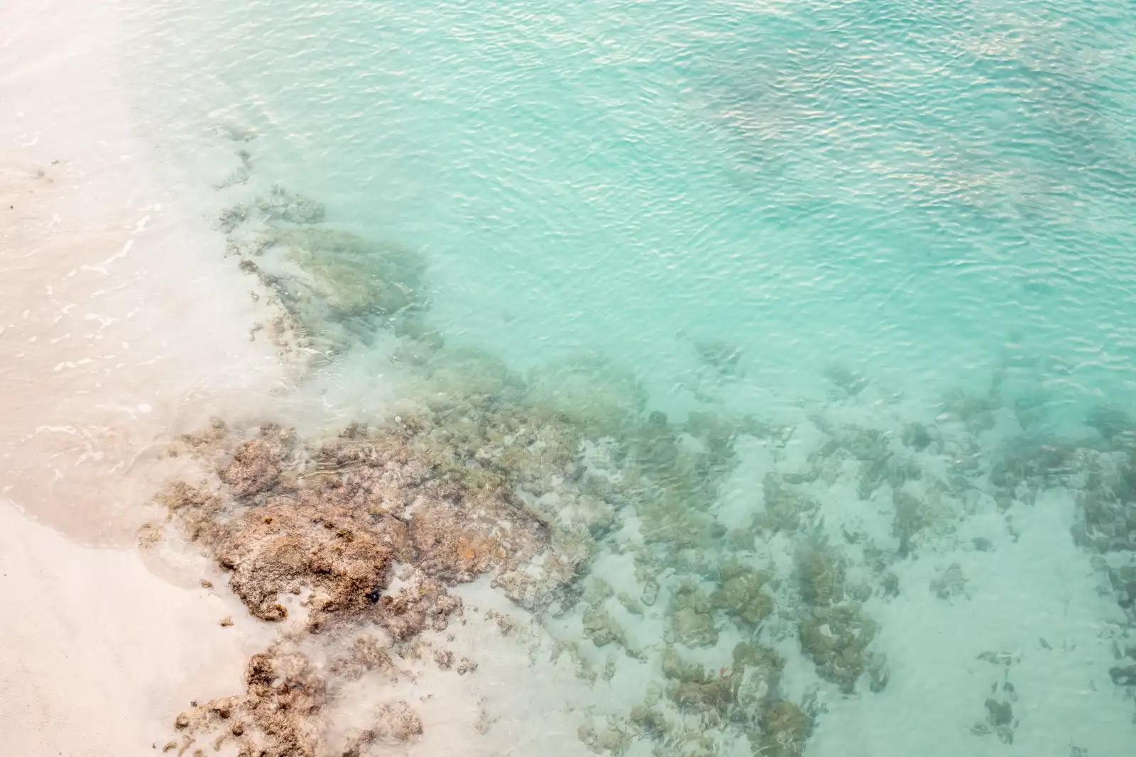 Calm, clear water over corals next to a sandy beach