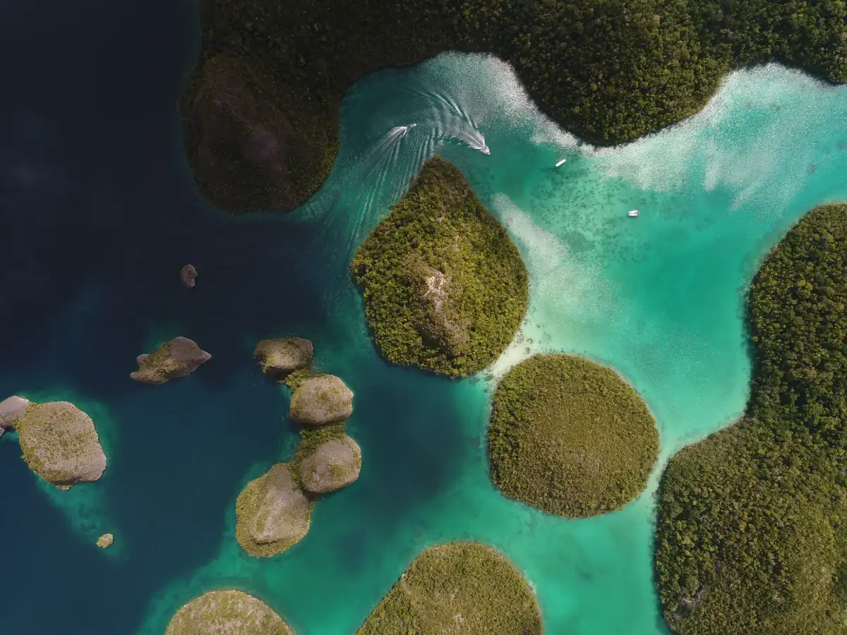 Aerial view of the Wayag Islands in Raja Ampat, Indonesia
